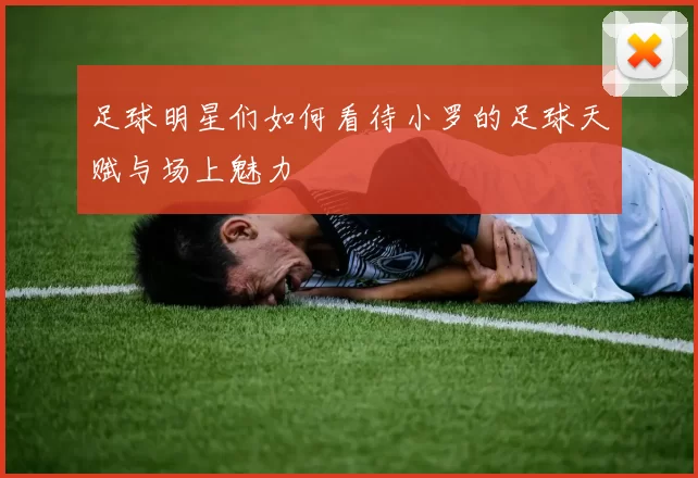 足球明星们如何看待小罗的足球天赋与场上魅力