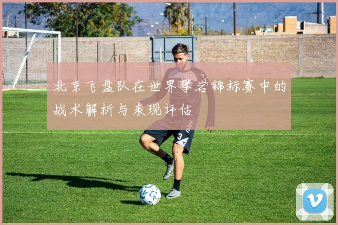 北京飞盘队在世界攀岩锦标赛中的战术解析与表现评估