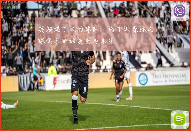 英超诺丁汉的球队：诺丁汉森林足球俱乐部的历史与未来