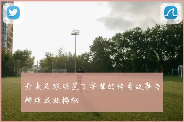 丹麦足球明星丁字辈的传奇故事与辉煌成就揭秘