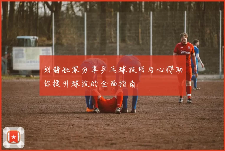 刘静独家分享乒乓球技巧与心得助你提升球技的全面指南