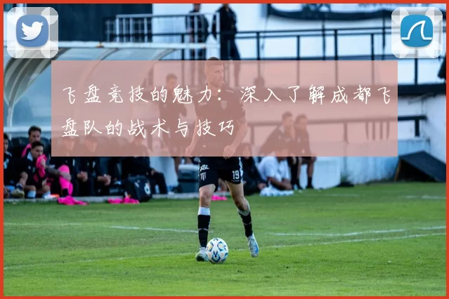 飞盘竞技的魅力：深入了解成都飞盘队的战术与技巧