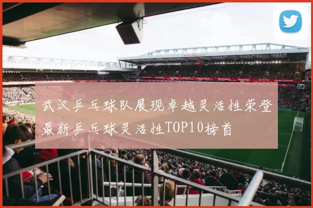 武汉乒乓球队展现卓越灵活性荣登最新乒乓球灵活性TOP10榜首