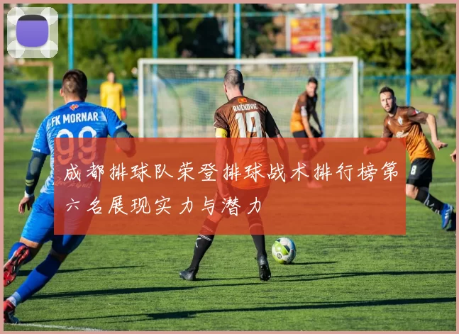 成都排球队荣登排球战术排行榜第六名展现实力与潜力