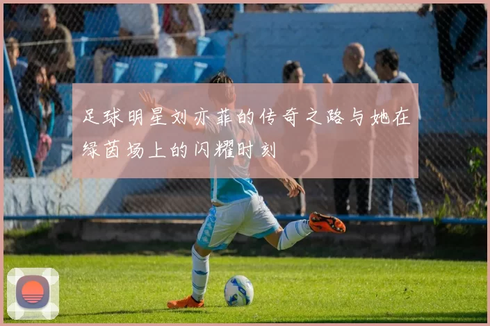 足球明星刘亦菲的传奇之路与她在绿茵场上的闪耀时刻