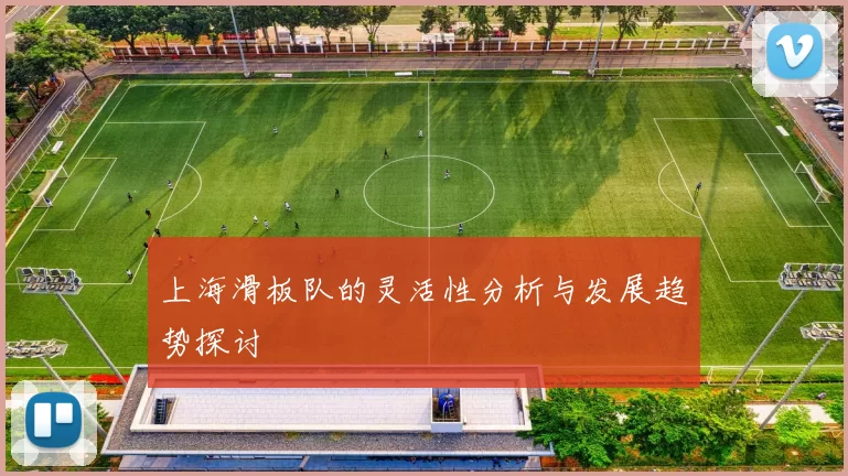上海滑板队的灵活性分析与发展趋势探讨