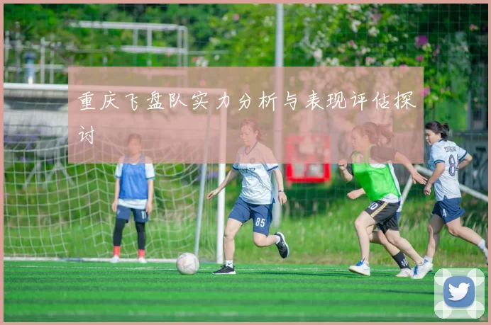 重庆飞盘队实力分析与表现评估探讨