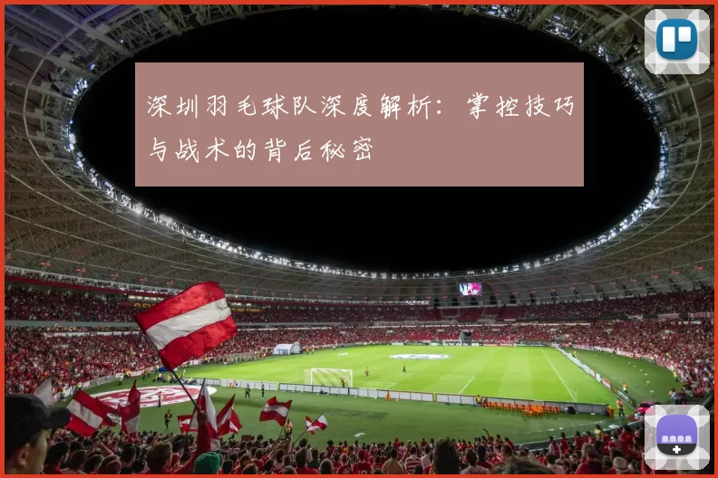 深圳羽毛球队深度解析：掌控技巧与战术的背后秘密