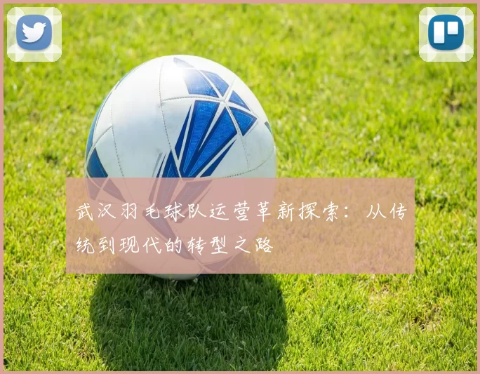 武汉羽毛球队运营革新探索：从传统到现代的转型之路