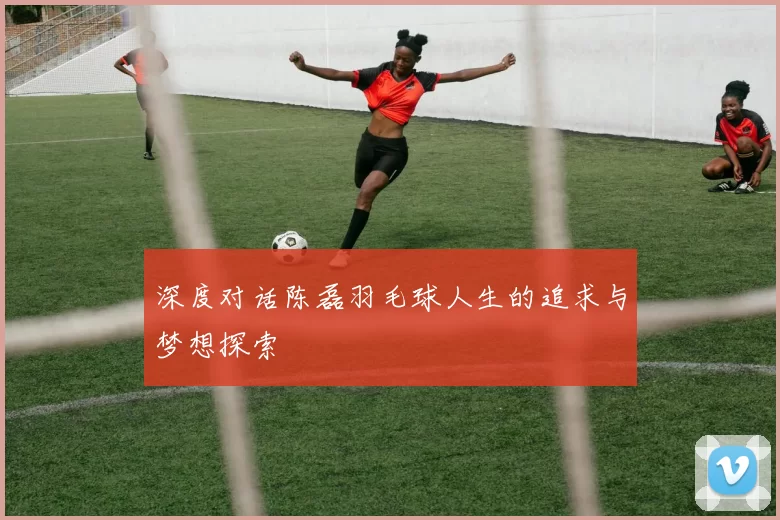 深度对话陈磊羽毛球人生的追求与梦想探索