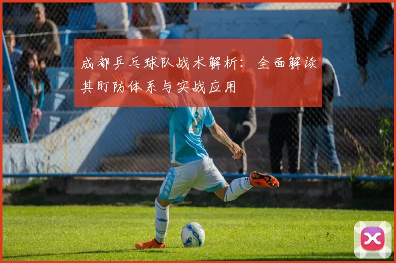 成都乒乓球队战术解析：全面解读其盯防体系与实战应用