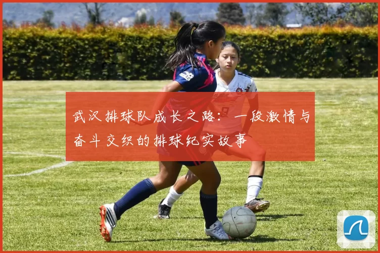 武汉排球队成长之路：一段激情与奋斗交织的排球纪实故事