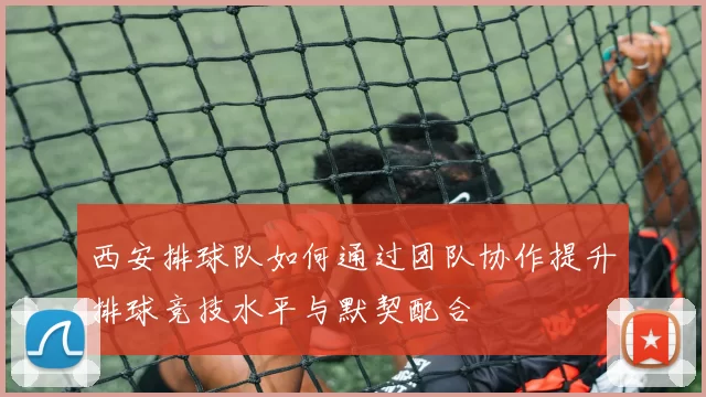 西安排球队如何通过团队协作提升排球竞技水平与默契配合