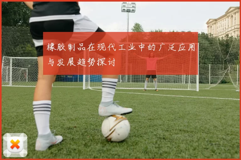 橡胶制品在现代工业中的广泛应用与发展趋势探讨