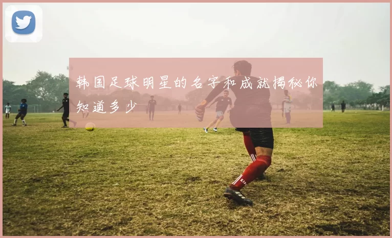 韩国足球明星的名字和成就揭秘你知道多少