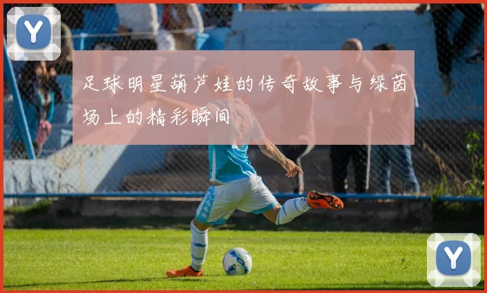 足球明星葫芦娃的传奇故事与绿茵场上的精彩瞬间