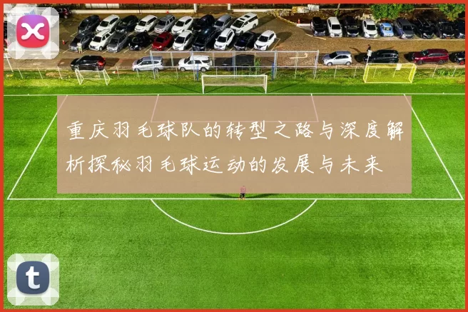 重庆羽毛球队的转型之路与深度解析探秘羽毛球运动的发展与未来