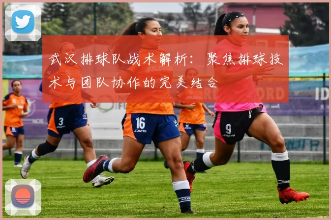 武汉排球队战术解析：聚焦排球技术与团队协作的完美结合