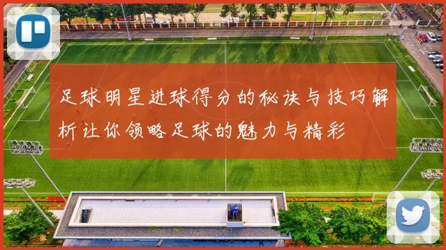 足球明星进球得分的秘诀与技巧解析让你领略足球的魅力与精彩
