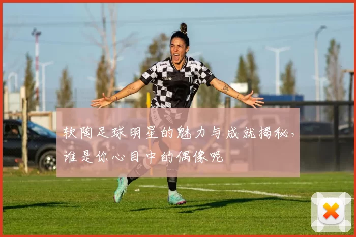 软陶足球明星的魅力与成就揭秘，谁是你心目中的偶像呢
